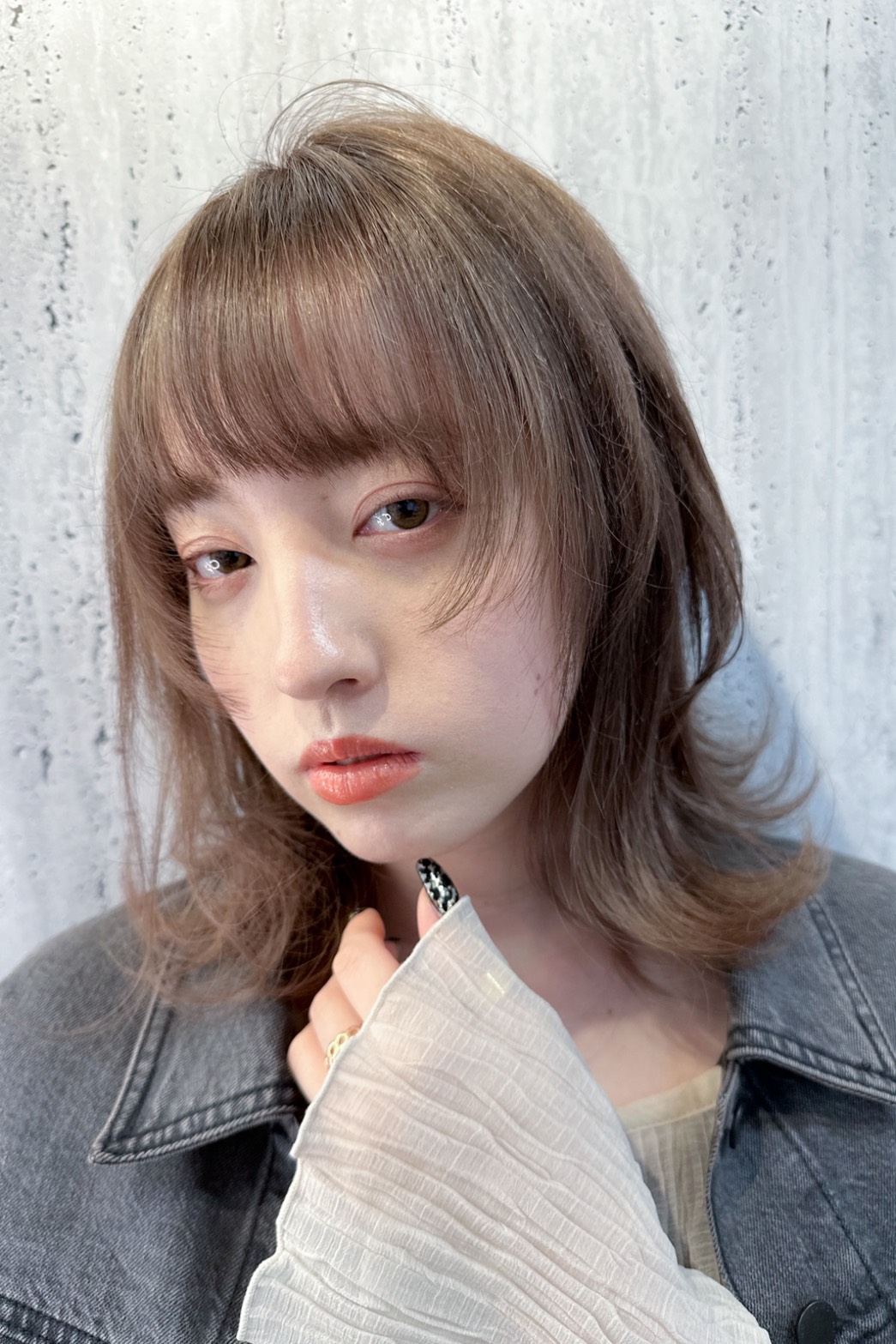 カタログhaccho