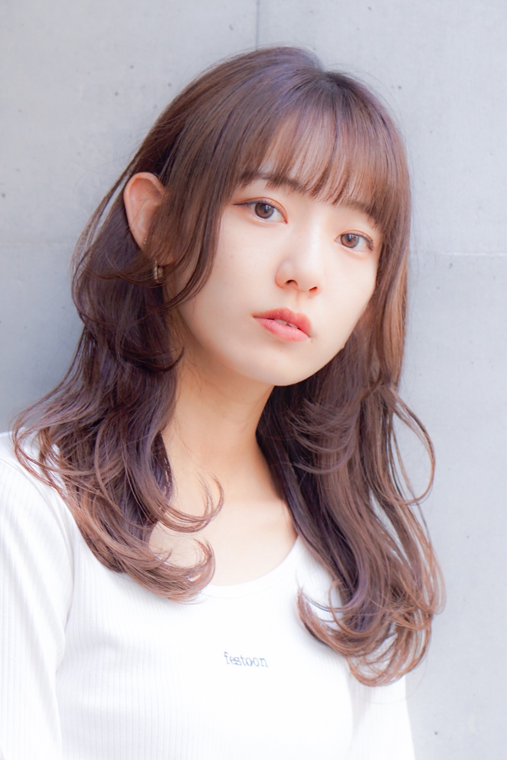 カタログhaccho