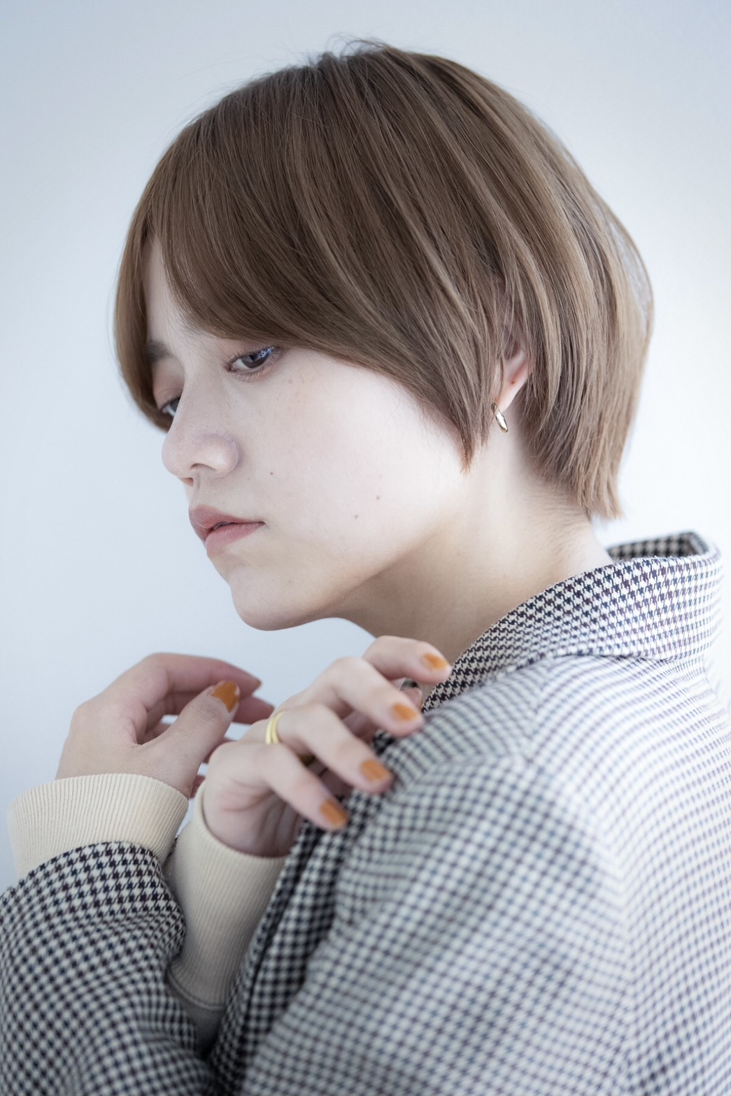 カタログhaccho